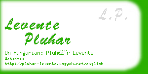 levente pluhar business card